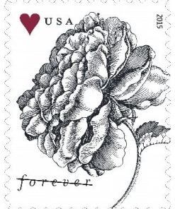 Vintage Rose First-Class Postage USPS Forever Stamps 100pcs/Pack (20PCS/Booklet)