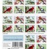 2018 US First-Class Forever Stamp – Birds in Winter First-Class Postage USPS Forever Stamps 100pcs/Pack (20PCS/Booklet)