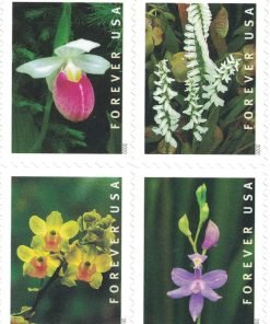 Wild Orchids Flowers (Booklet of 20) First-Class Mail Forever Postage Stamps 2020 100pcs/Pack (20PCS/Booklet)