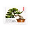 2012 US Bonsai First-Class Postage USPS Forever Stamps 100pcs/Pack (20PCS/Booklet)