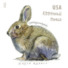 Brush Rabbit Design Additional Ounce Forever Stamps First-Class Postage USPS Forever Stamps 100pcs/Pack (20PCS/Booklet)