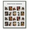 Heritage Breeds First-Class Postage USPS Forever Stamps 100pcs/Pack (20PCS/Booklet)